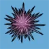 Tower of Fantasy Sea Urchin
